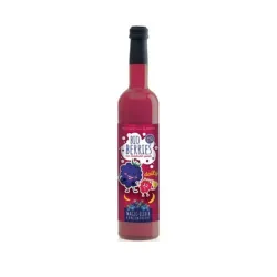 ELIXIR MAGIC PENTRU COPII, CONCENTRAT CU ZMEURA BIO, 500ML, RETTER ELIXIR MAGIC PENTRU COPII, CONCENTRAT CU ZMEURA BIO, 500ML, RETTER