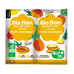 Budinca de fructe exotice, bio, 2x 4g, Nat-ali Budinca de fructe exotice, bio, 2x 4g, Nat-ali