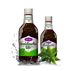 Kombucha Life cu ghimbir 500ml Kombucha Life cu ghimbir 500ml