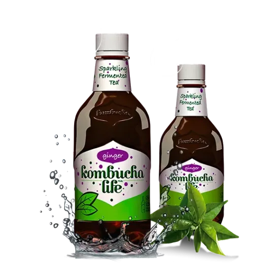 Kombucha Life cu ghimbir 500ml