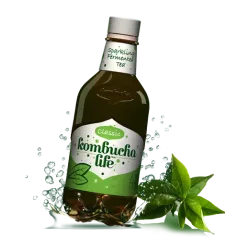 Kombucha Life clasic 500ml Kombucha Life clasic 500ml