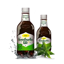 Kombucha Life cu flori de soc 500ml Kombucha Life cu flori de soc 500ml