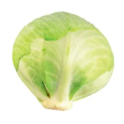 Varza bio 1kg, Biohof