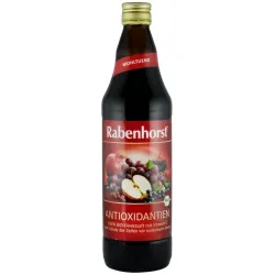 Antioxidanti Suc bio de fructe, 750ml Rabenhorst