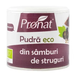 Pudra bio din samburi de struguri, 90g Pronat Pudra bio din samburi de struguri, 90g Pronat