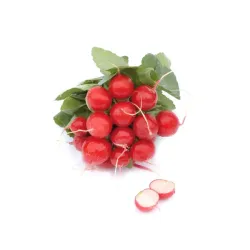 Ridichi bio legatura, Biohof Ridichi bio legatura, Biohof