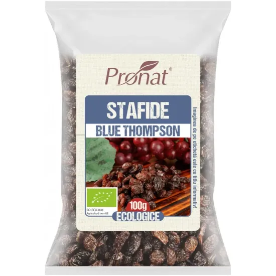 Stafide bio Blue Thompson 100g Pronat